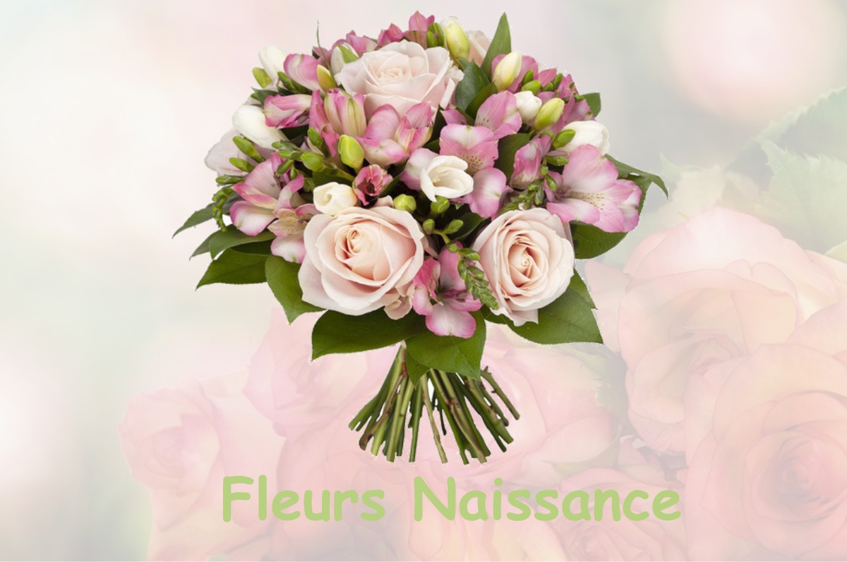 fleurs naissance BOISSEDE