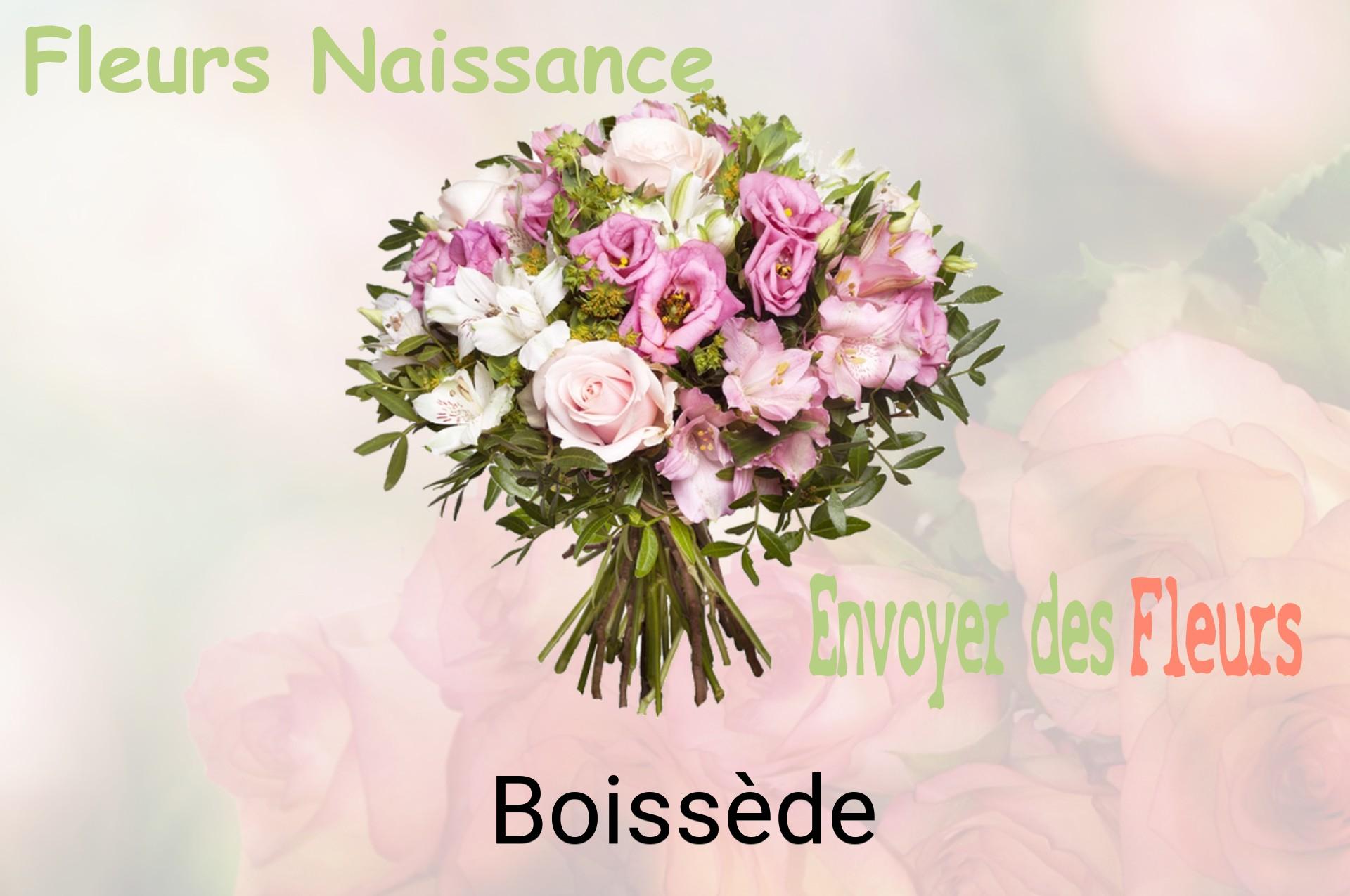 Bouquet de fleurs de naissance livré à Boissède