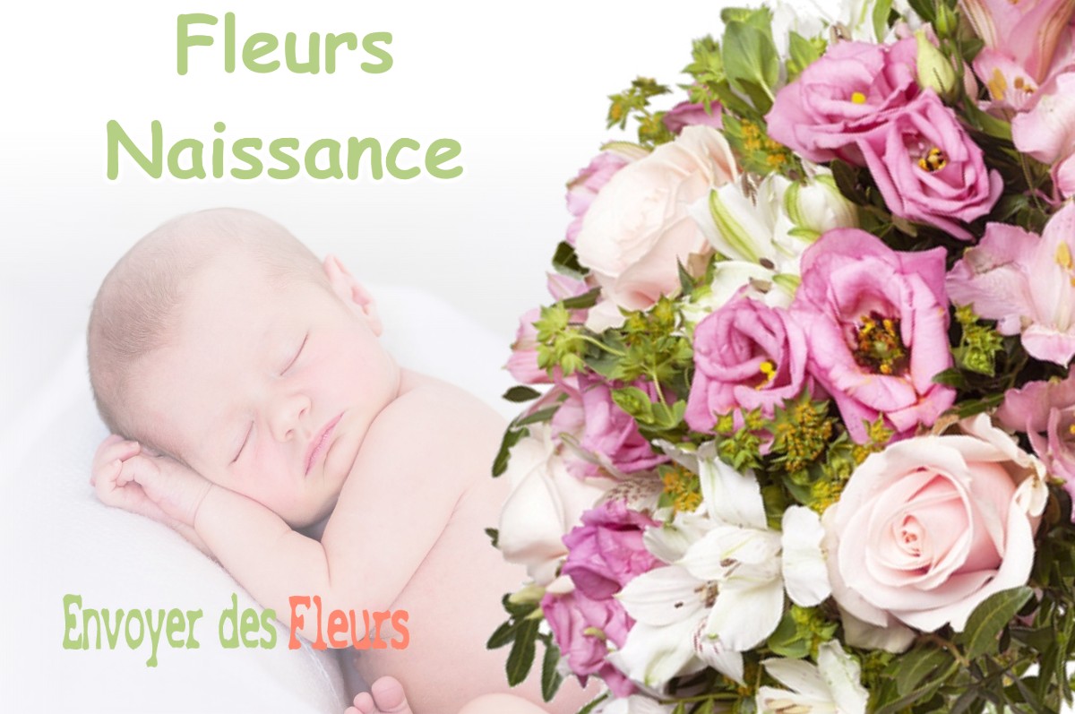 lIVRAISON FLEURS NAISSANCE à BOISSEDE